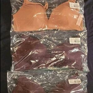 5 brand new 34D/36C bras